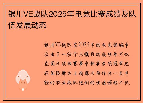 银川VE战队2025年电竞比赛成绩及队伍发展动态