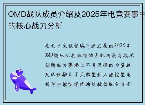 OMD战队成员介绍及2025年电竞赛事中的核心战力分析